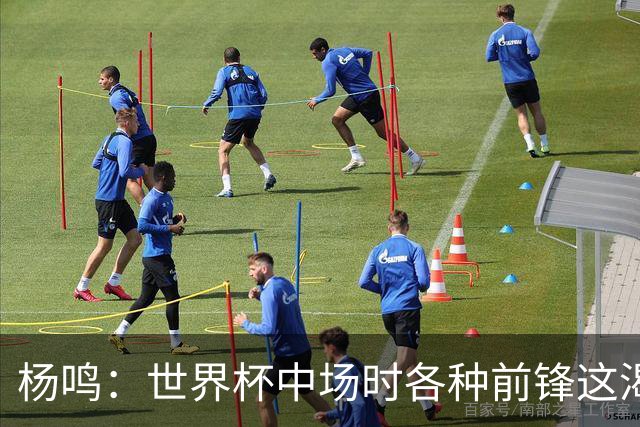 杨鸣：世界杯中场时各种前锋这渴了那饿了全来了 谁能记住后卫呢